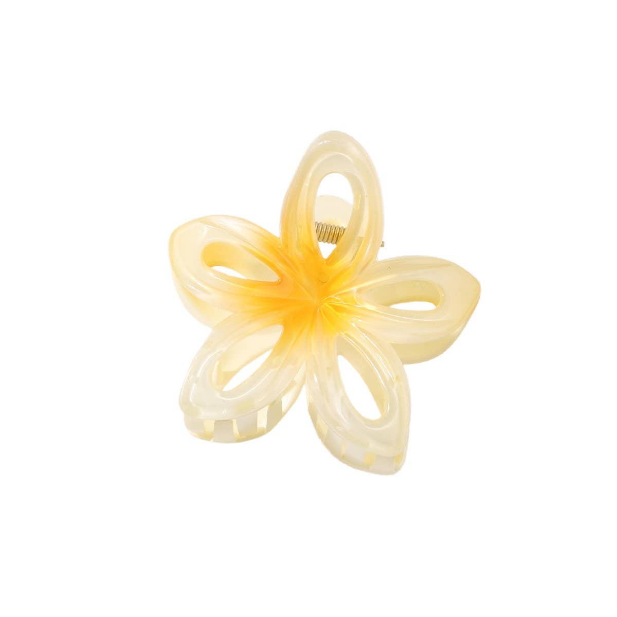 CWAHA1383_GRADIENT FLOWER HAIR CLAW CLIP