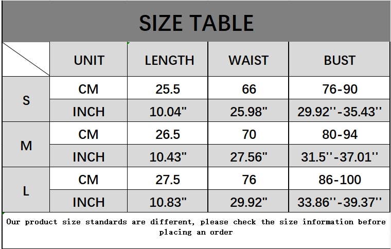 CWTTK0741_MESH SEE-THROUGH UNDERWIRE FISHBONE WAIST VEST