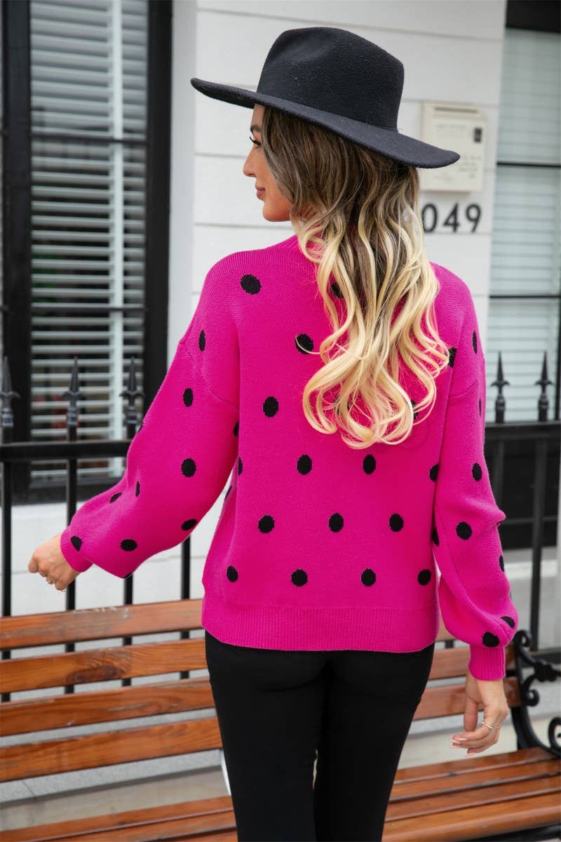 CWOSWL1663_Crew Neck Long Sleeve Pullover Sweater