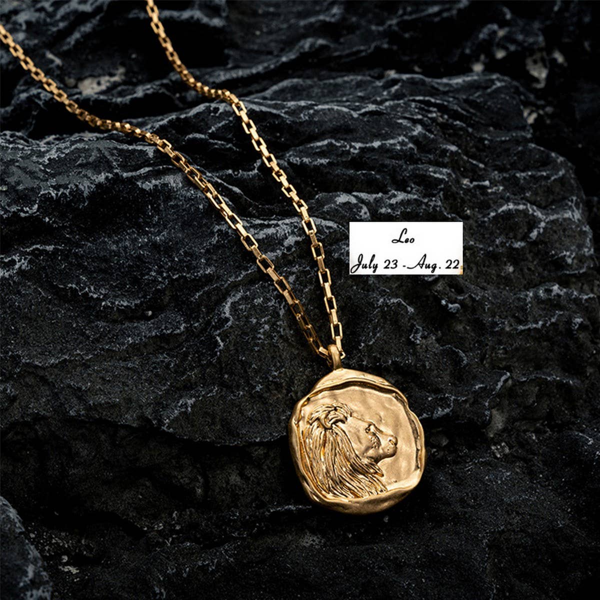 STAINLESS STEEL ZODIAC OVAL PENDANT NECKLACE_CWMM3761