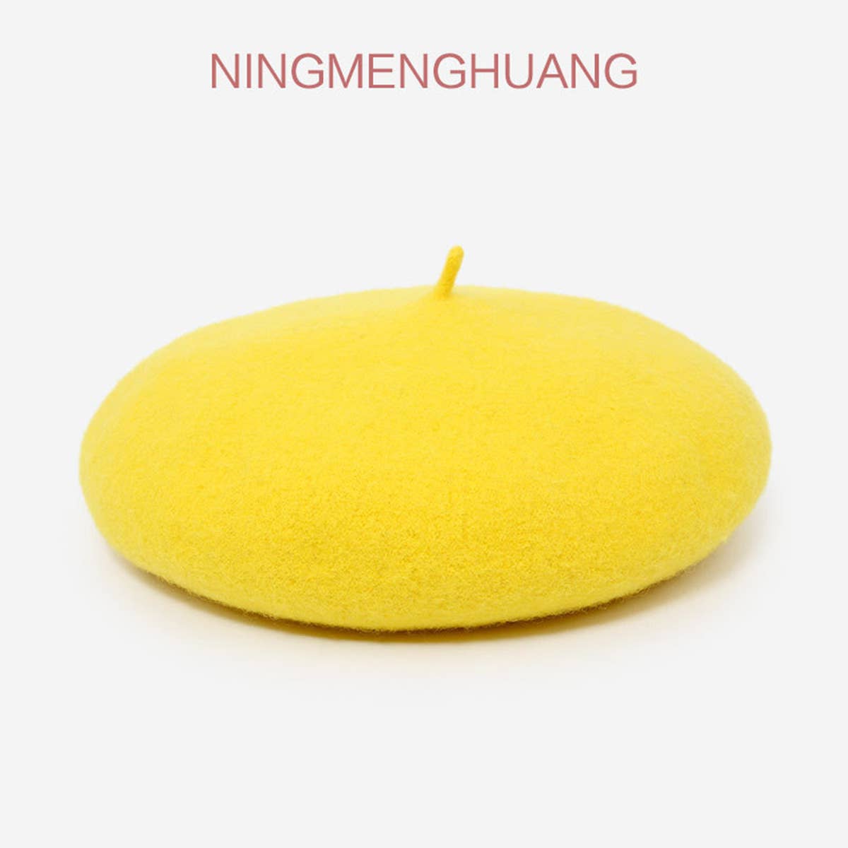 AUTUMN AND WINTER RETRO TREND BERET_CWAH1929