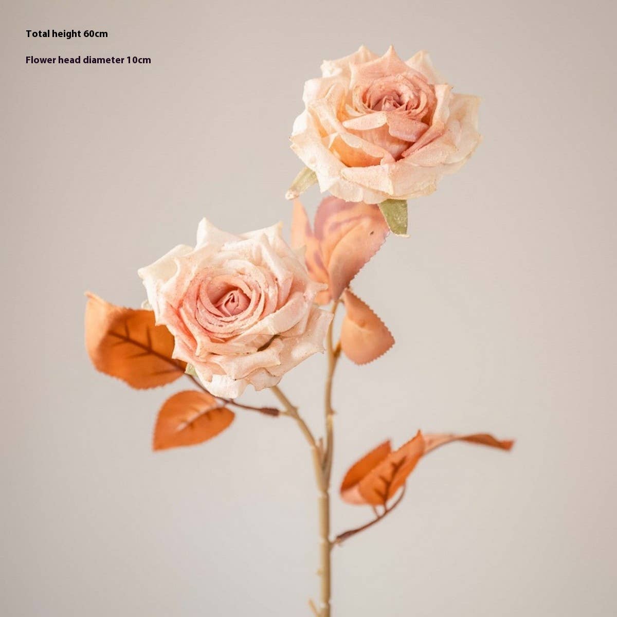 Dried Tone Burnt Edge Rose Bouquet for Decor