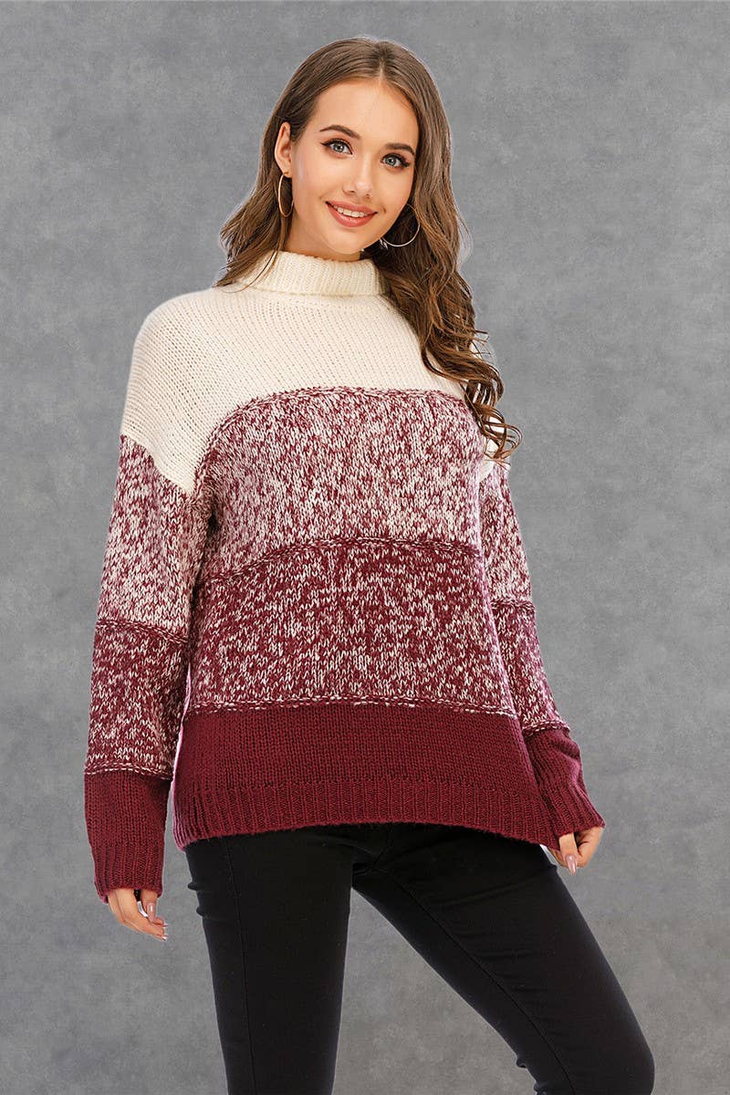 CWOSWL1711_Turtle Neck Long Sleeve Pullover Sweater
