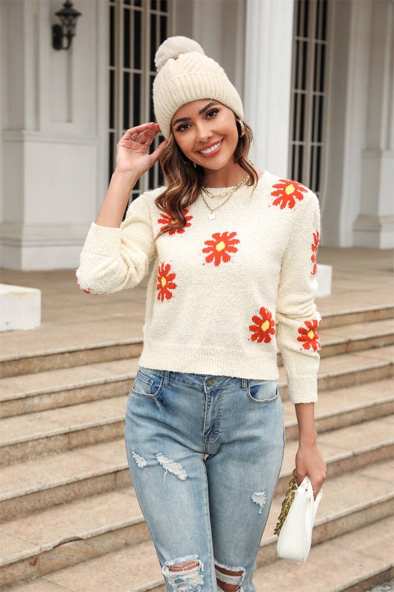 CWOSWL1668_Crew Neck Long Sleeve Pullover Sweater