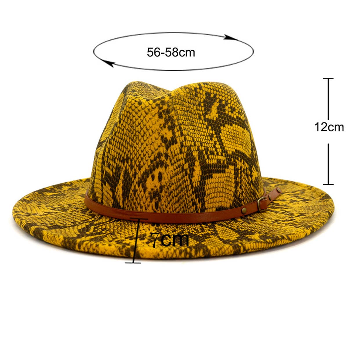 WOMEN WARM AND SIMPLE SNAKE PANAMA HAT_CWAH0703