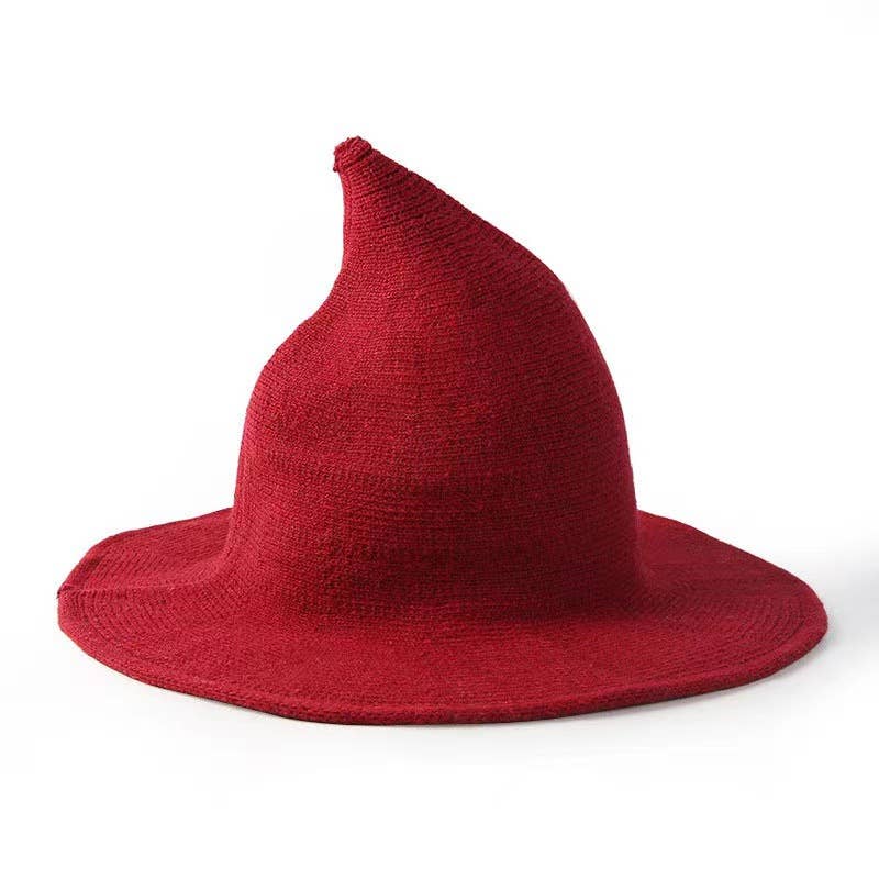 HALLOWEEN CHARACTER WOOL WIZARD HAT WITH BIG BRIM