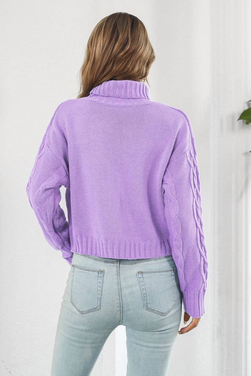 CWOSWL3875_HIGH COLLAR LONGSLEEVE TWISTED ROPE SHORT SWEATER