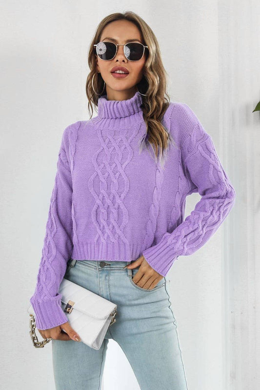 CWOSWL3875_HIGH COLLAR LONGSLEEVE TWISTED ROPE SHORT SWEATER