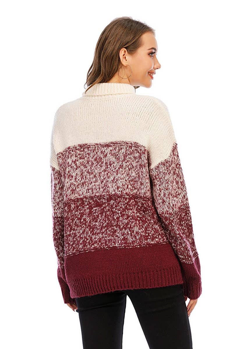 CWOSWL1711_Turtle Neck Long Sleeve Pullover Sweater