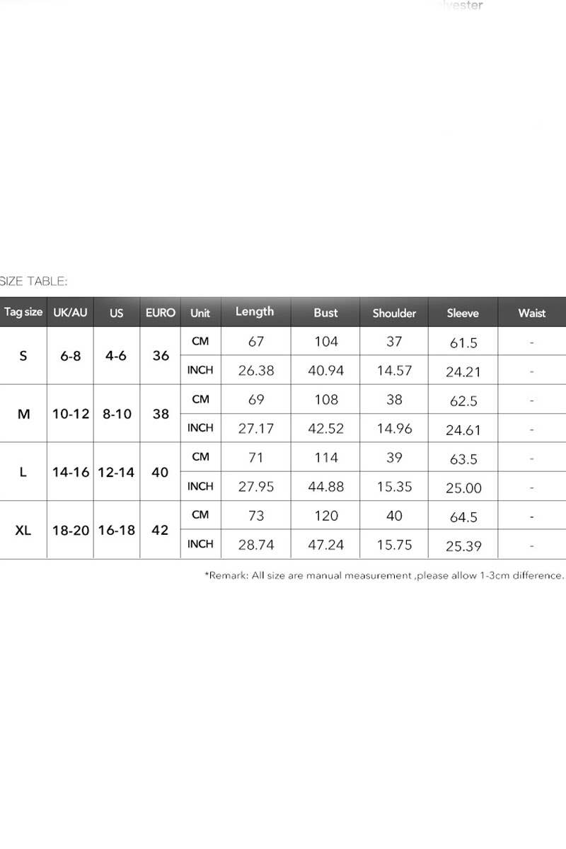 CWTSTL2732_ELEGANT HOLLOW PUFF SLEEVE EMBROIDERED TOP