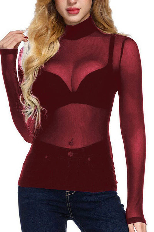 CWTBLL3864_SHEER MESH STRETCH LONG SLEEVE TURTLENECK TOP