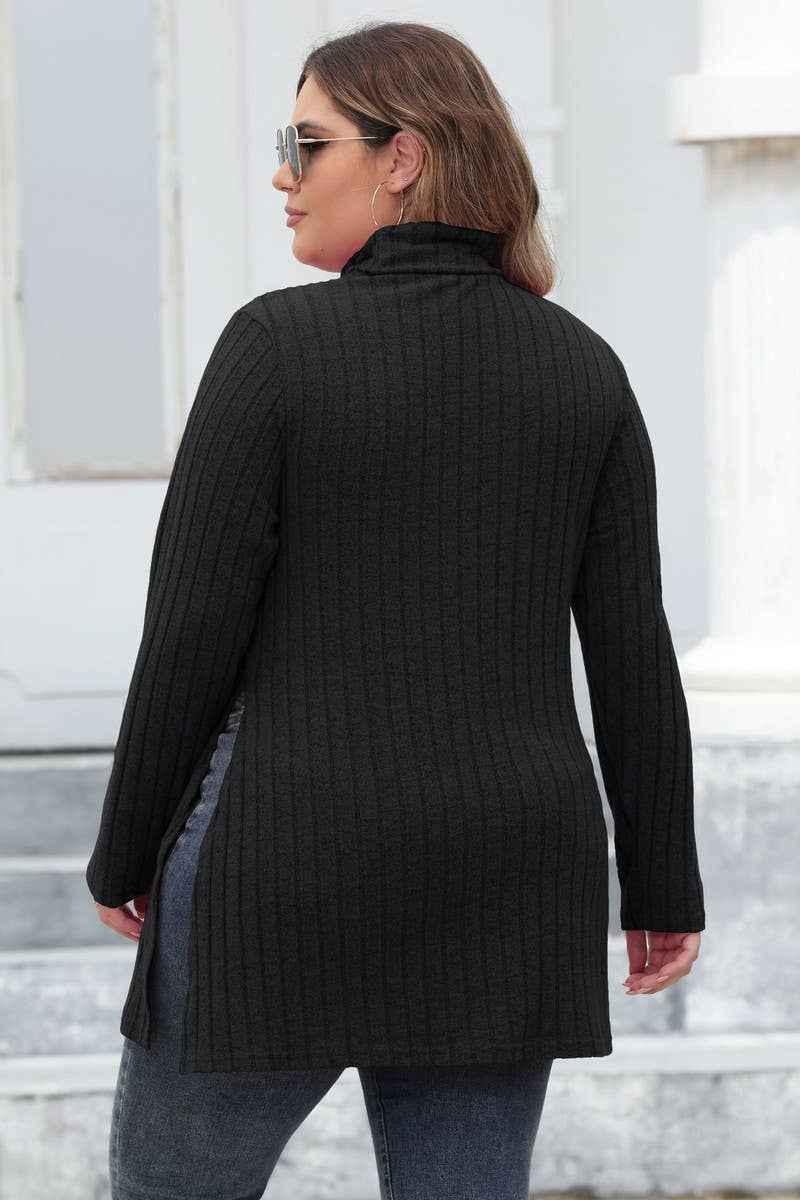 CWTTL1314_PLUS Size Turtle Neck Long Slv Pullover Long Top