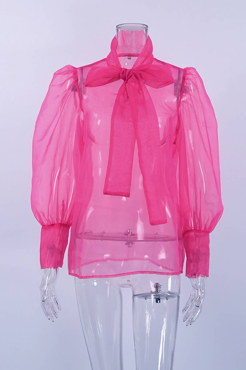 CWTSTL2579_PUFF SLEEVE BOWKNOT SEE-THROUGH LONG SLEEVE TOP