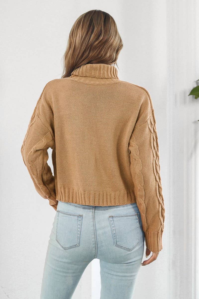 CWOSWL3875_HIGH COLLAR LONGSLEEVE TWISTED ROPE SHORT SWEATER