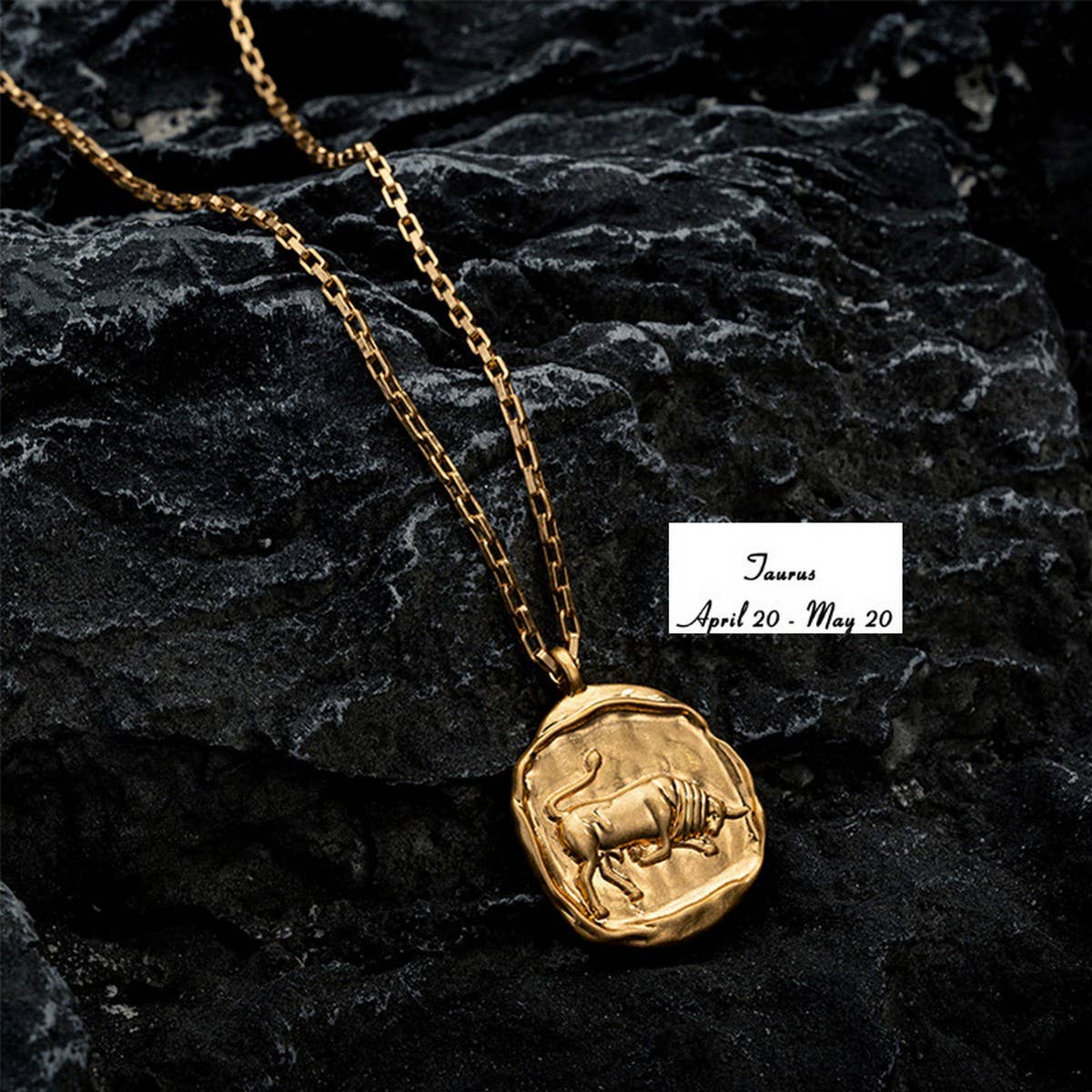 STAINLESS STEEL ZODIAC OVAL PENDANT NECKLACE_CWMM3761
