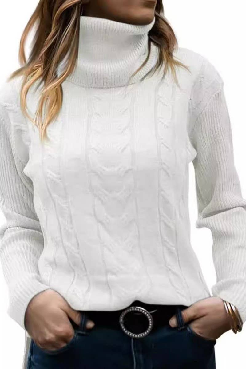CWOSWL3400_SOLID COLOR HIGH COLLAR LONG SLEEVE KNIT TOP