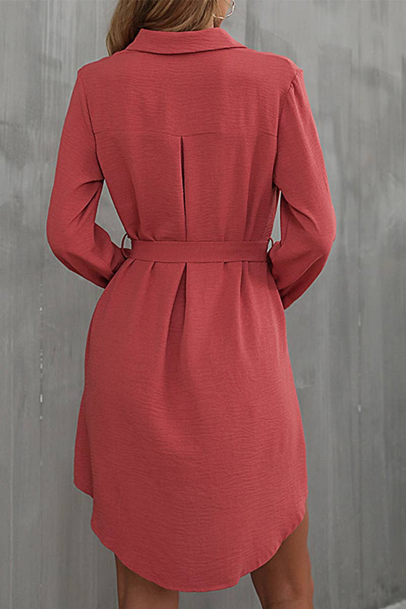 CWTDSL0120_SPRING AND AUTUMN LONG SLEEVE LAPEL SHIRT DRESS