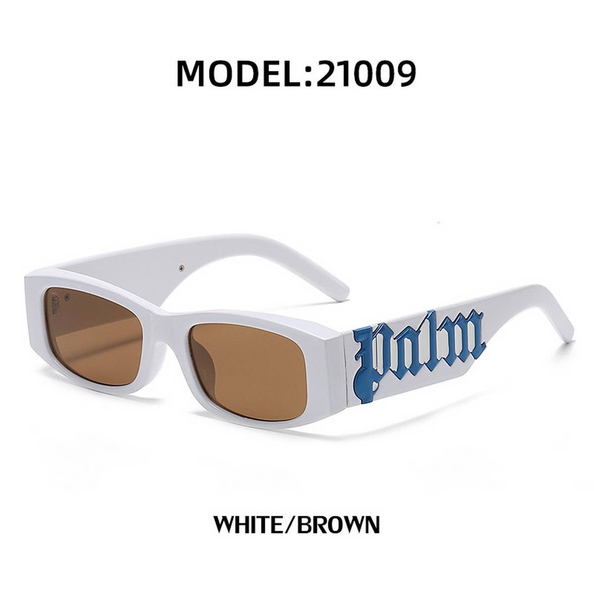 SMALL FRAME SUNGLASSES WITH WIDE TEMPLES_CWASG0570