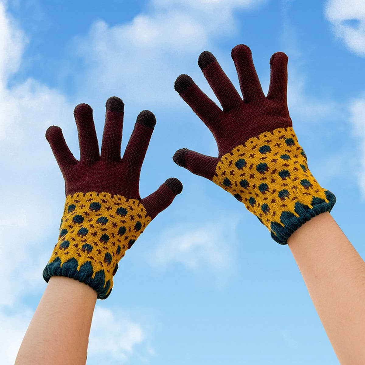 Cute Knit Gloves for Women ? Touchscreen Warm_CWAG0147