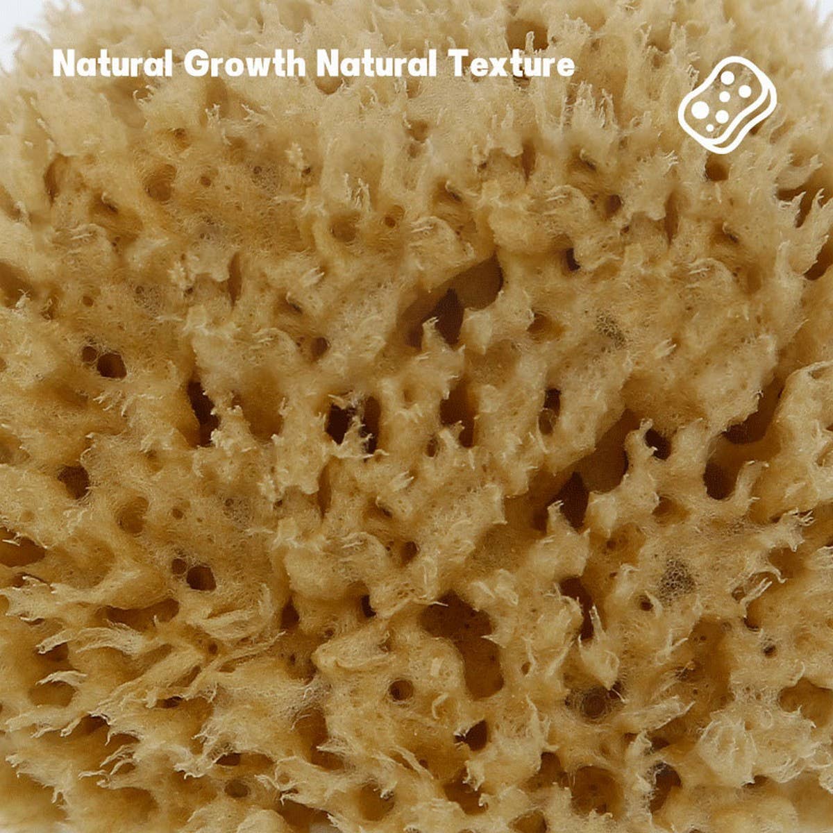 NATURAL COFFEE COLOR SPONGE HONEYCOMB SPONGE
