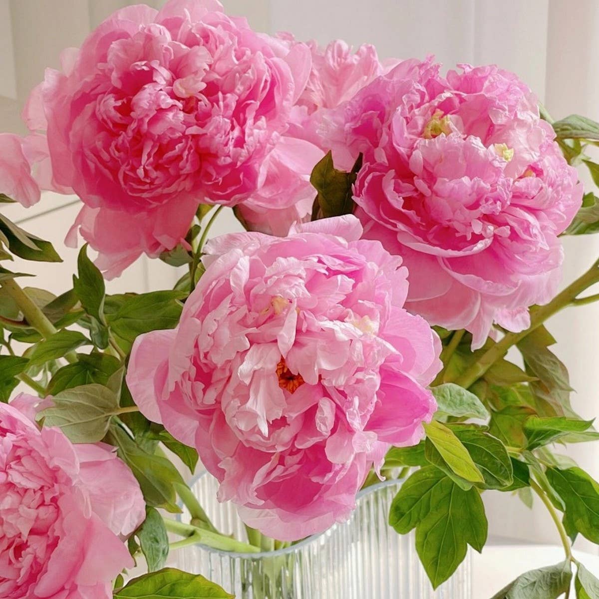 Artificial Peony Bouquet 62CM Silk Wedding Decor_CWMM6460