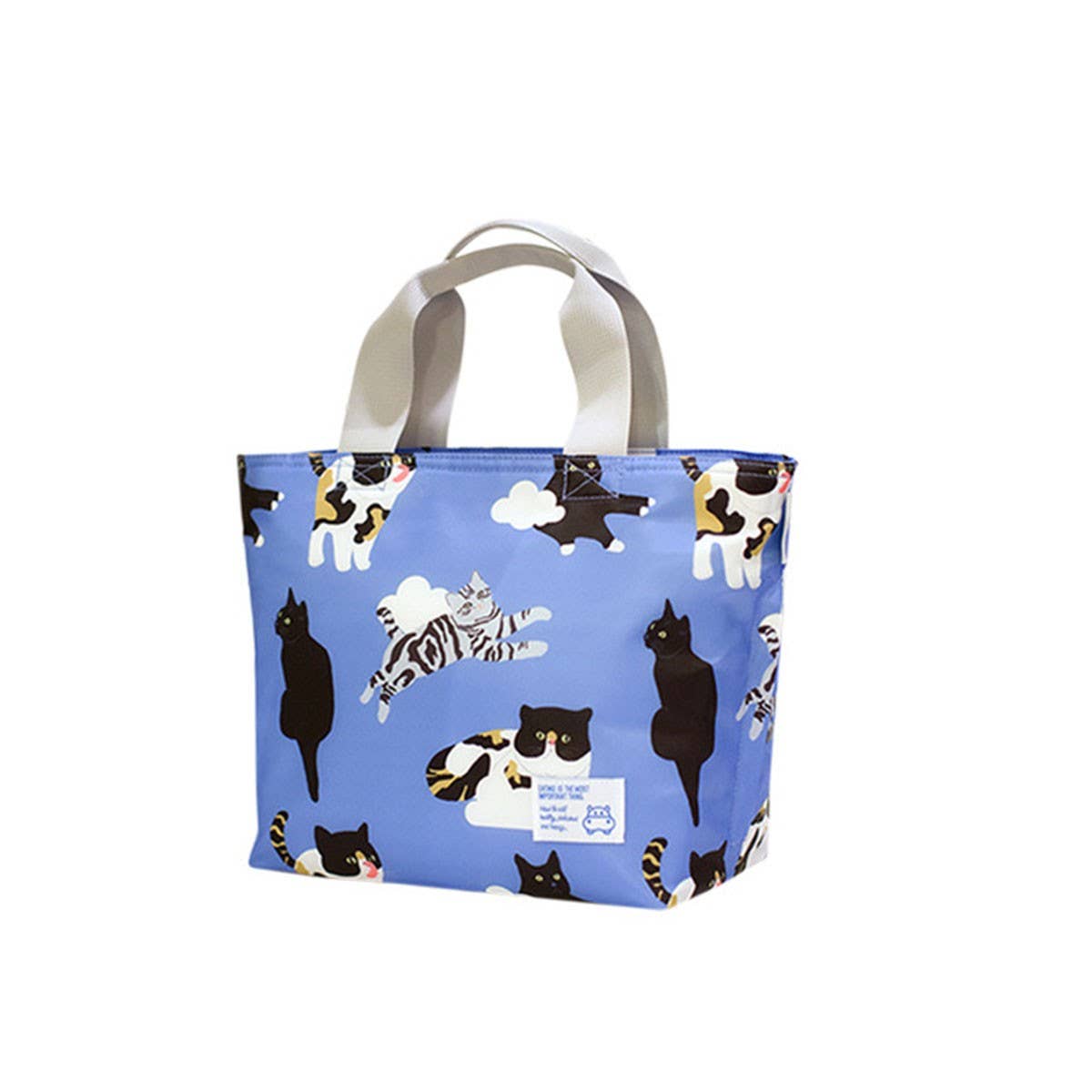 WATERPROOF PORTABLE THERMAL BENTO BAG FOR STUDENTS_CWAB1817