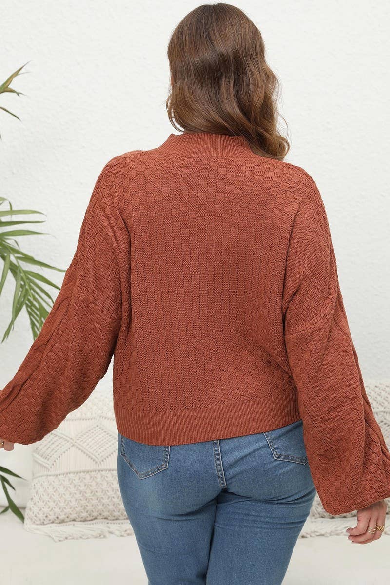 CWOSWL1572_PLUS Size Crew Neck Pullover Long Sleeve Sweater