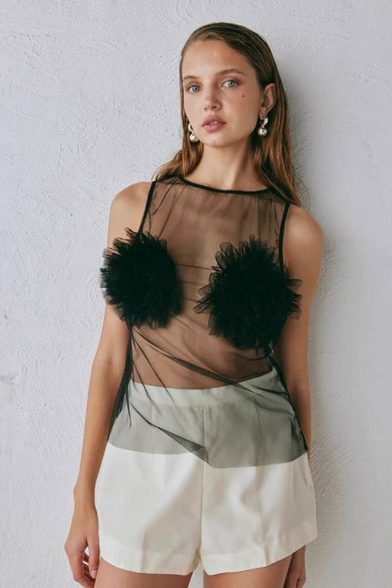 CWTBLSL0788_SEXY MESH SEE-THROUGH CUTOUT CROP TOP