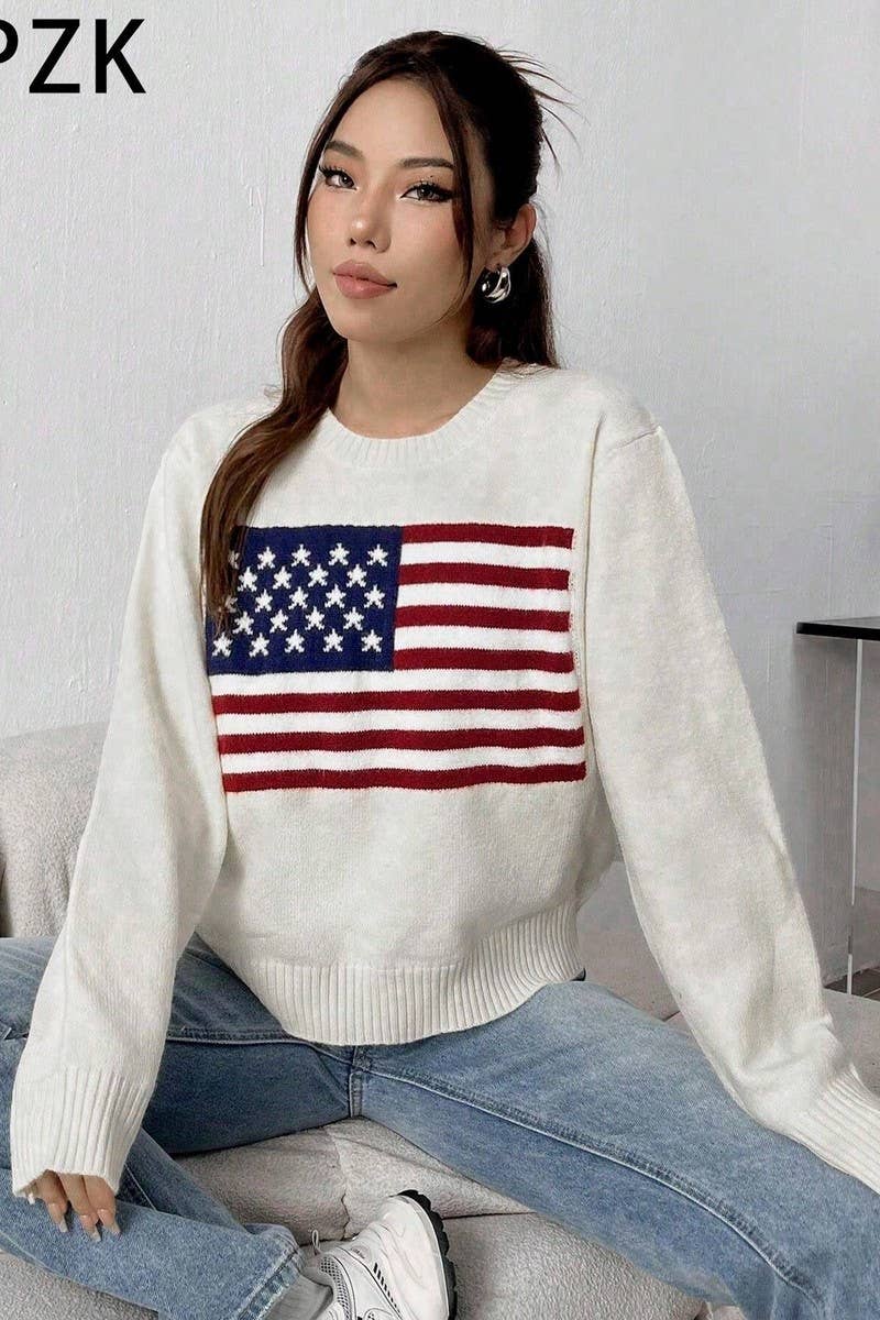 CWOSWL5753_AMERICAN FLAG LOOSE FIT CREWNECK SWEATER