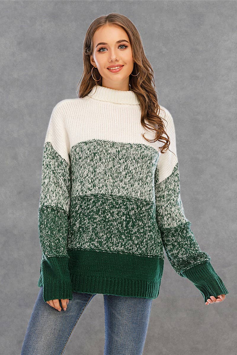 CWOSWL1711_Turtle Neck Long Sleeve Pullover Sweater