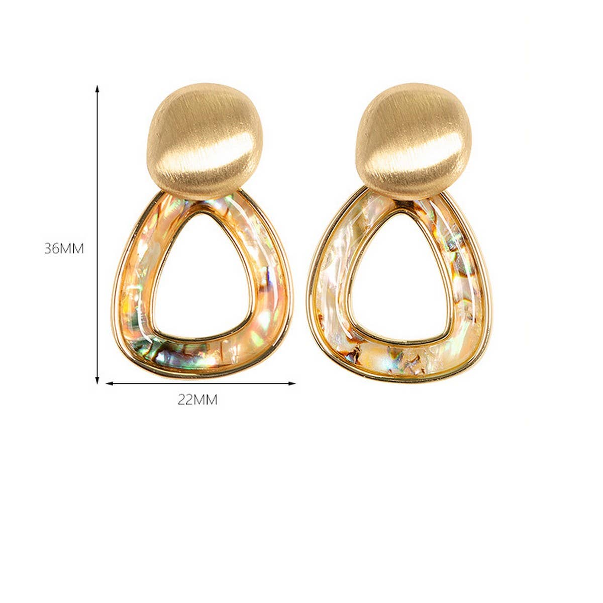 PERSONALIZED HOLLOW COLORFUL ABALONE EARRINGS_CWMM4322