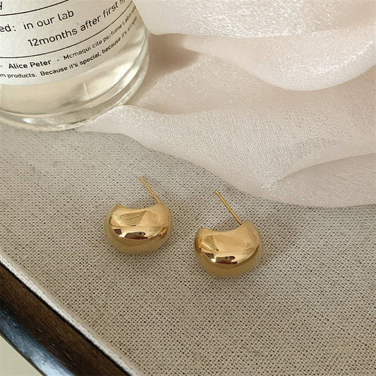 SIMPLE NICHE DESIGN METAL EARRINGS FOR WOMEN_CWAJE3125