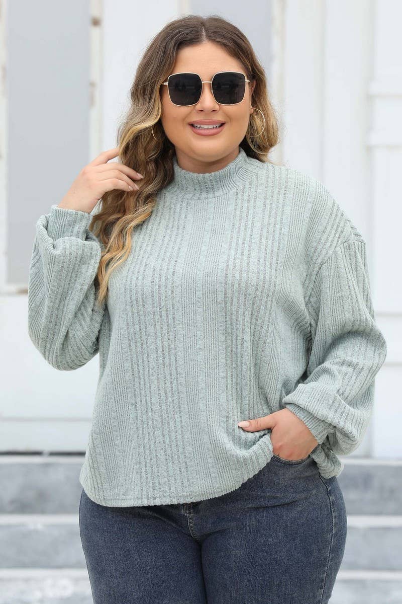 CWTTL1310_PLUS Size Turtle Neck Long Sleeve Pullover Top