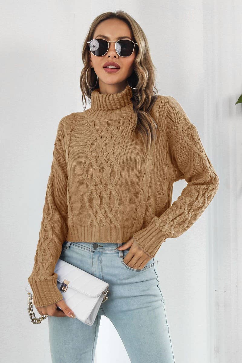 CWOSWL3875_HIGH COLLAR LONGSLEEVE TWISTED ROPE SHORT SWEATER