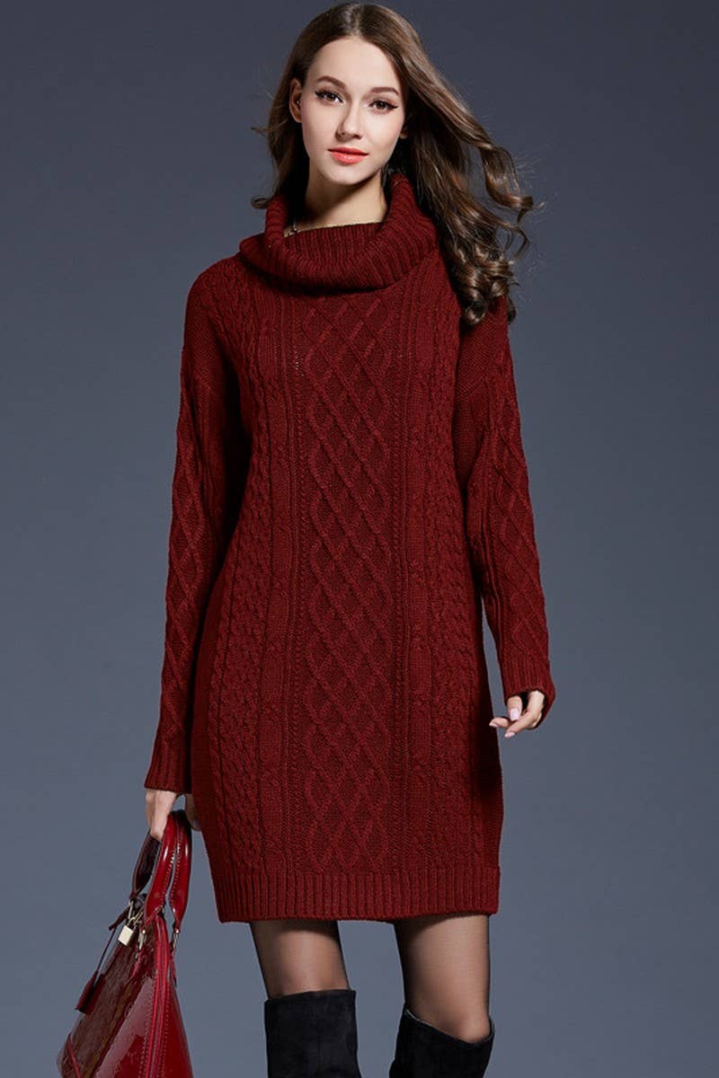 CWDSD5133_LONG TURTLENECK KNITTED DRESS
