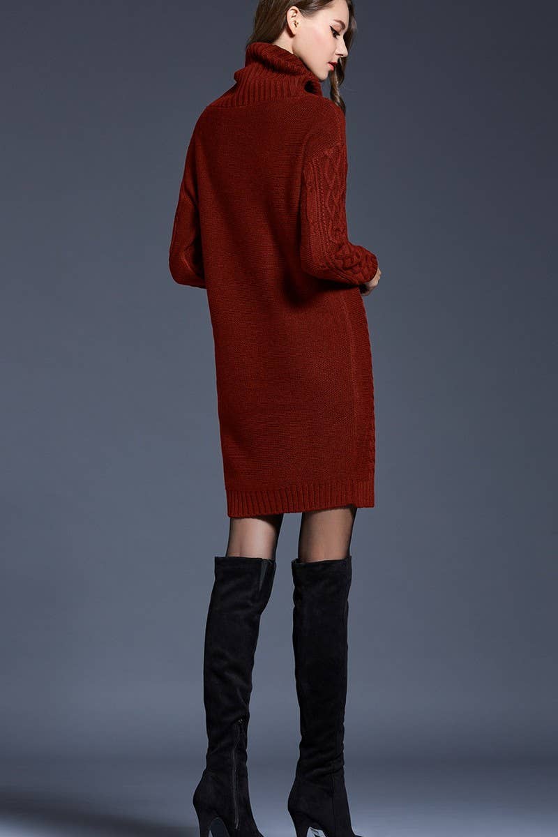 CWDSD5133_LONG TURTLENECK KNITTED DRESS