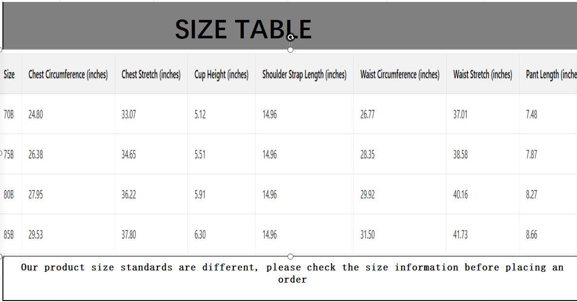 CWMU00294_SEXY LACE UNDERWIRE PUSH UP BRA SET